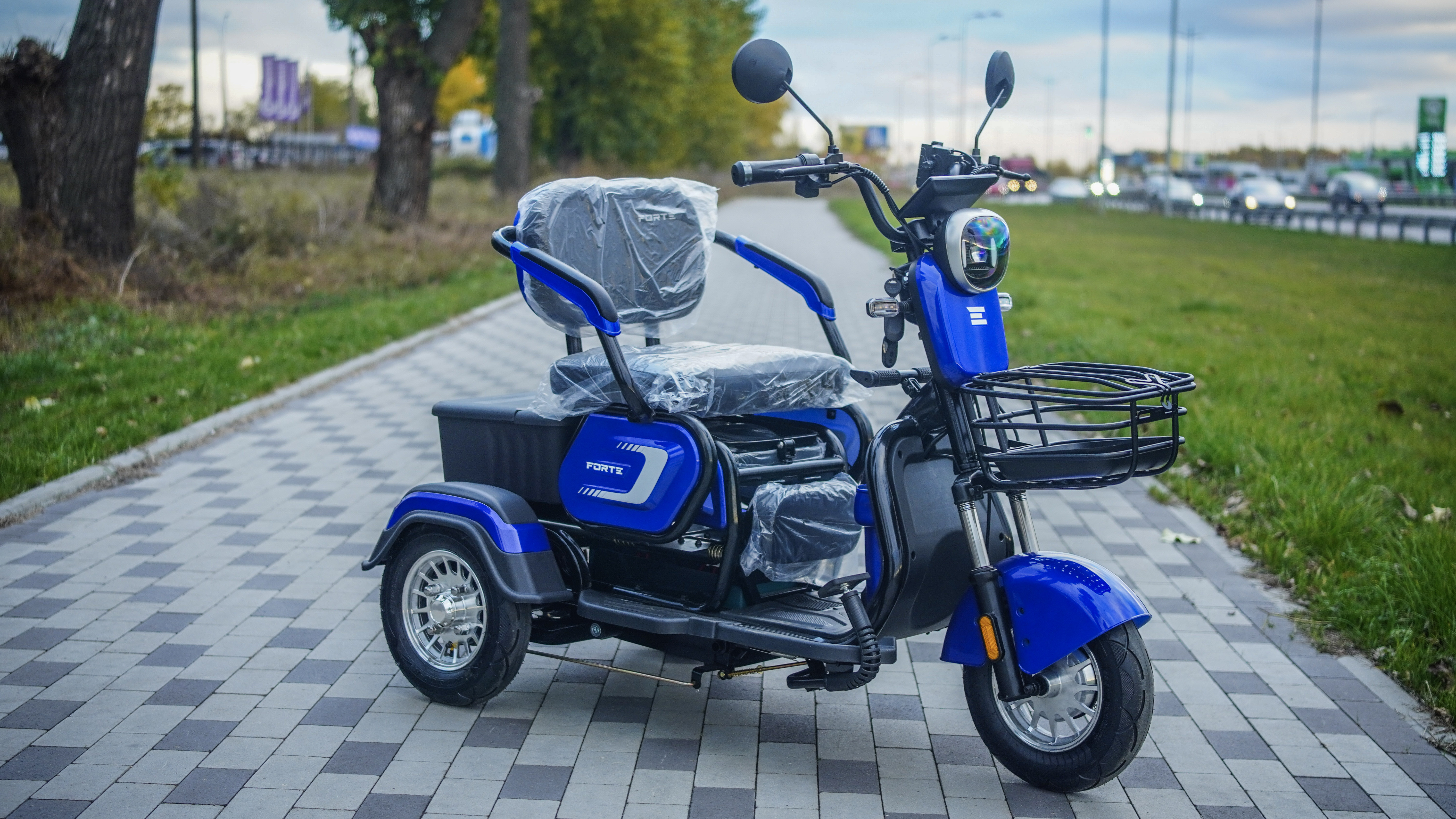 Forte FAMILY-WS600