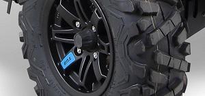 шины Maxxis Bighorn