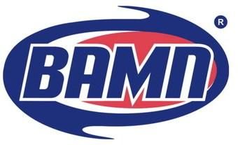 ВАМП