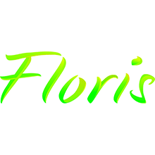 ФЛОРИС