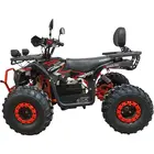 Квадроцикл с электродвигателем Spark Storm 1500w (красный), фото фото 5