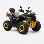 Квадроцикл с электродвигателем Spark Hornet 3000w (желтый), фото фото 3