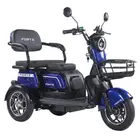 Електроскутер FORTE FAMILY-WN1072 (синій)  купити в Україні