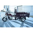 Вантажний мотоцикл Musstang MT250-4V фото 18 купити в Україні