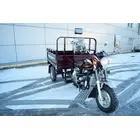 Вантажний мотоцикл Musstang MT250-4V фото 19 купити в Україні