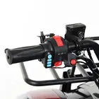 Электроквадроцикл Profi HB-EATV 1000D-3 (MP3) 1000W/48V, фото фото 4