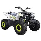 Квадроцикл Forte HUNTER 125 (біло-зелений) фото 2 купити в Україні