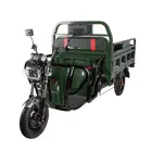 Трицикл электрический грузовой TRIGO JJ1.6 1000W/60V/50AH(DZM) (зеленый), фото 