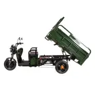 Трицикл электрический грузовой TRIGO JJ1.6 1000W/60V/50AH(DZM) (зеленый), фото фото 2