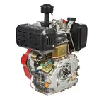 Двигун Vitals DM 12.0sne, 12 к.с., дизельний, вал 25 мм (шліц), електростартер фото 4 купити в Україні