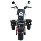Электротрайк WS-ELECTRO PRO TRIKE 3000W Black, фото фото 3