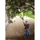 Висоторіз-кущоріз електричний Ryobi RP750450, 750/450Вт, шина 20 см. Oregon фото 5 купити в Україні