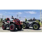 Квадроцикл MotoLeader ODES ML1100 ATV фото 4 купити в Україні