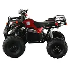 Электроквадроцикл Forte ATV1500NA (синий), фото 