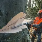 Бензопила STIHL MS 661 C-M 63см (11442000321) фото 7 купити в Україні