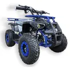 Електроквадроцикл Motoleader PIONEER NEW 1000W/48V (Синій), фото 