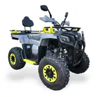 Квадроцикл MIKILON Wolf 200  купити в Україні