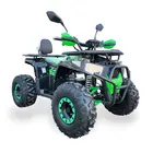 Електроквадроцикл Forte ATV1500G (1500W) зелений, фото 