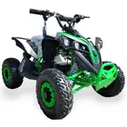 Электроквадроцикл Forte ATV1200QB (зеленый), фото 
