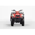 Квадроцикл Forte ATV-250BS PRO, фото 