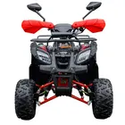 Квадроцикл Spark SP110-4 (Зеленый) фото 2 купити в Україні