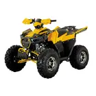 Квадроцикл Forte AFF125 PRO (Жовтий)  купити в Україні