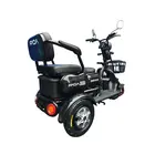 Электротрайк FADA OLDi MAX 1100W (трехколесный электроскутер) бронзовый, фото фото 3