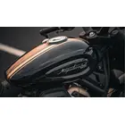 Мотоцикл BENDA Napoleon 500 фото 5 купити в Україні