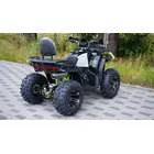 Квадроцикл FORTE AFC-200 PRO Чорно-зелений фото 3 купити в Україні