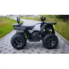 Квадроцикл FORTE AFC-200 PRO Чорно-зелений фото 2 купити в Україні