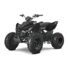 Квадроцикл Linhai ATV 110  купити в Україні