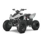 Квадроцикл Linhai ATV 110 фото 3 купити в Україні