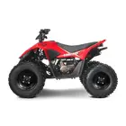 Квадроцикл Linhai ATV 110 фото 5 купити в Україні