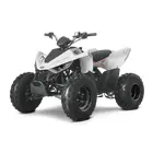 Квадроцикл Linhai ATV 110 фото 9 купити в Україні