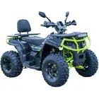 Квадроцикл FORTE AFC-250 PRO (Зелений)  купити в Україні
