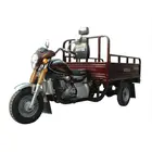 Вантажний мотоцикл Musstang MT250-4V  купити в Україні