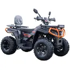 Квадроцикл FORTE AFC-250 PRO (Черный), фото 