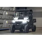 Багги Linhai UTV LH-80DU ELECTRIC, фото фото 2