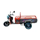 Электротрицикл грузовой CROSSER CARGO 12 (1000W) 60V 32Ah серый, фото 