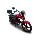 Мотоцикл HORNET ALPHA (sport version) фото 4 купити в Україні