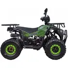 Квадроцикл Spark SP125-12 (зелений)  купити в Україні