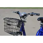 Електровелосипед Skybike 3-Cycl (синій) фото 9 купити в Україні