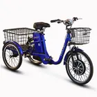 Електровелосипед Skybike 3-Cycl (синій)  купити в Україні