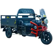 Електротрицикл вантажний FORTE GP-1150-A (сірий)  купити в Україні