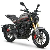 Мотоцикл Spark SP300SC-1 Scrambler (сірий)  купити в Україні