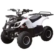 Електроквадроцикл Profi HB-EATV 1000D-1 (MP3) 1000W/48V  купити в Україні