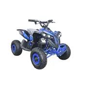 Электроквадроцикл Forte ATV1000RB (синий), фото 