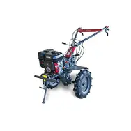 Мотоблок WEIMA WM1100C-6 DIFF, 7 к.с., воздушное (с фрезой), фото 