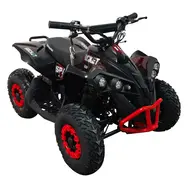 Квадроцикл с электродвигателем Spark Rocket 1000w (красный), фото 