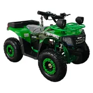 Квадроцикл с электродвигателем Spark Junior 1000w (зеленый), фото 